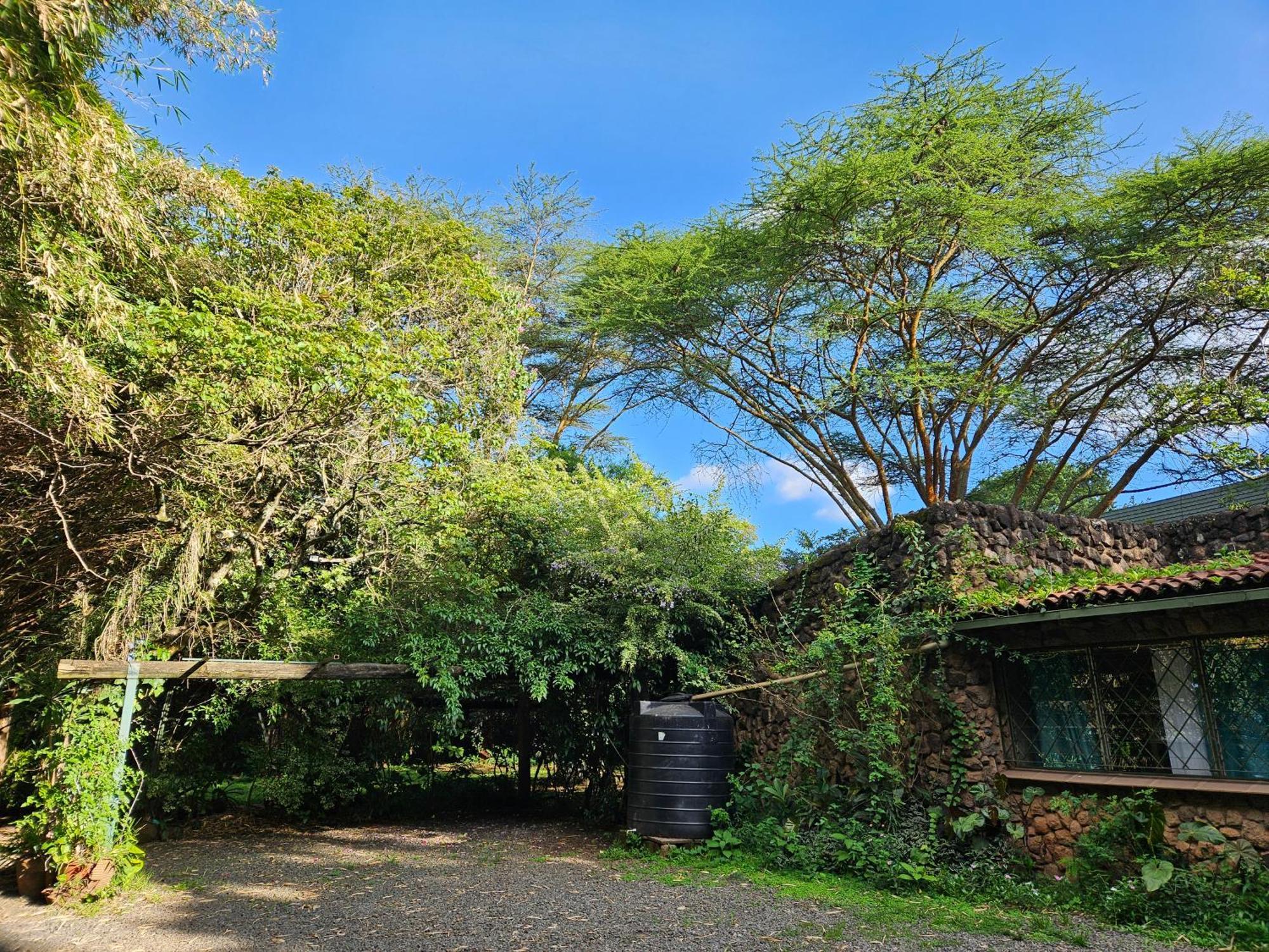 Mad Vervet Nairobi Backpackers Hostel Ngoại thất bức ảnh